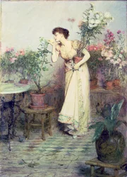 In the Conservatory